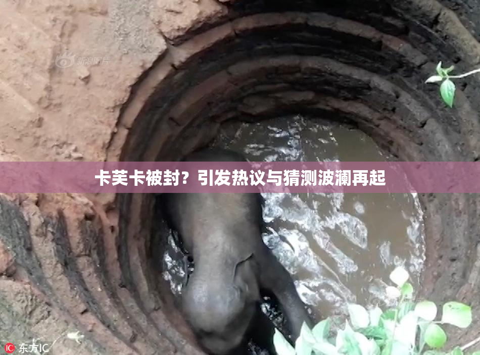 卡芙卡被封？引发热议与猜测波澜再起