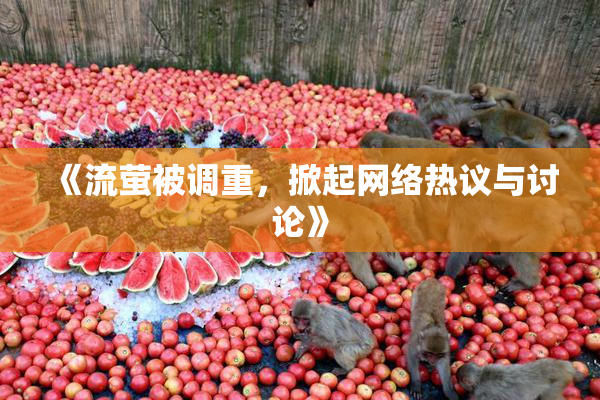《流萤被调重，掀起网络热议与讨论》