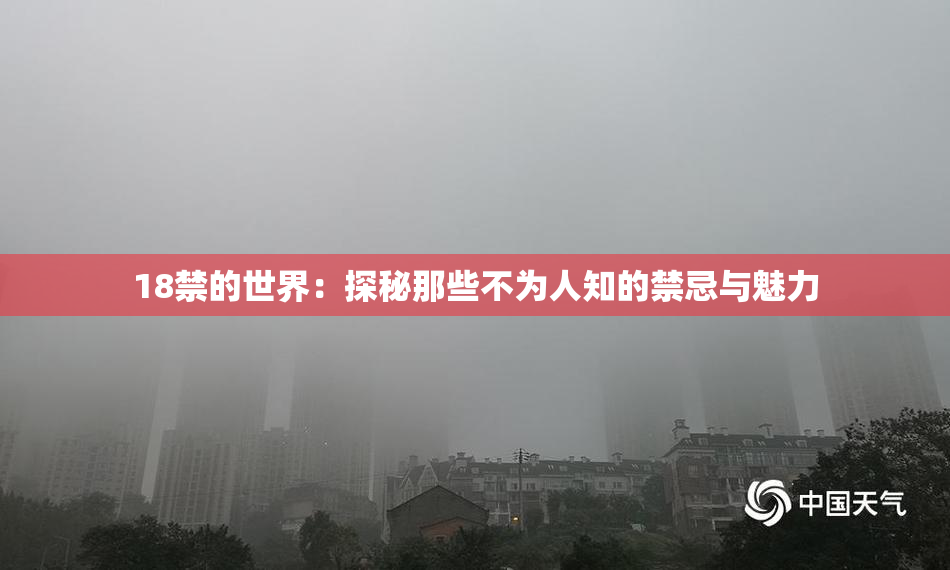 18禁的世界：探秘那些不为人知的禁忌与魅力