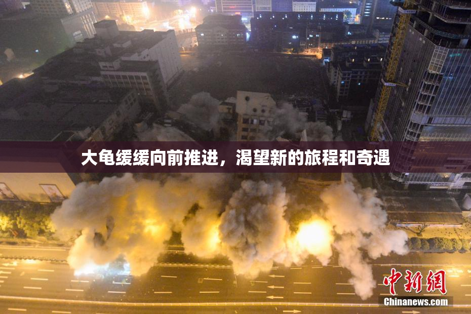 大龟缓缓向前推进，渴望新的旅程和奇遇