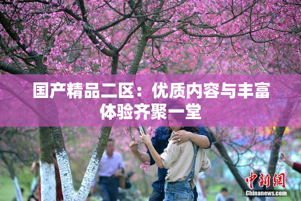 国产精品二区：优质内容与丰富体验齐聚一堂