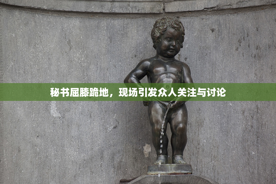 秘书屈膝跪地，现场引发众人关注与讨论
