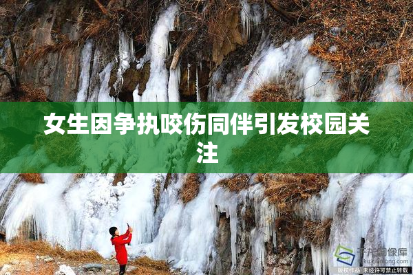女生因争执咬伤同伴引发校园关注