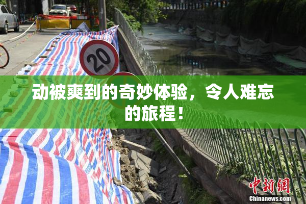 动被爽到的奇妙体验，令人难忘的旅程！