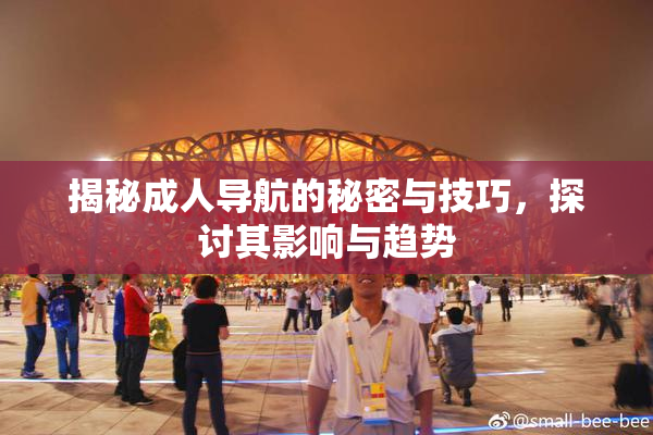 揭秘成人导航的秘密与技巧，探讨其影响与趋势