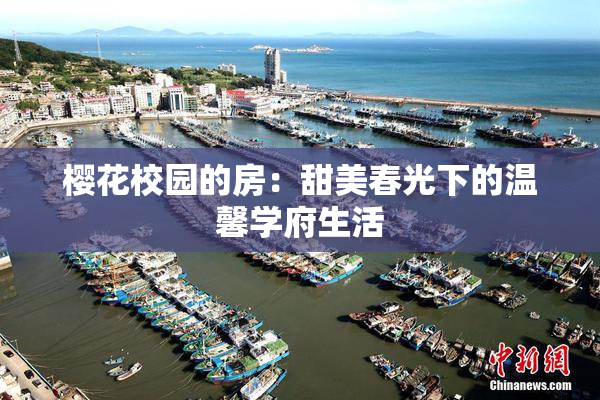 樱花校园的房：甜美春光下的温馨学府生活