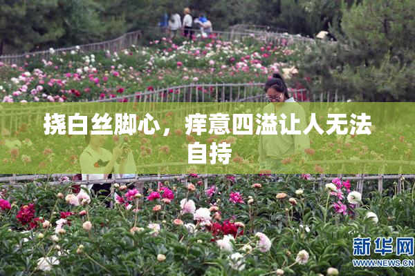 挠白丝脚心，痒意四溢让人无法自持