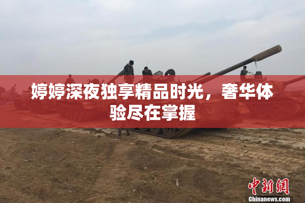婷婷深夜独享精品时光，奢华体验尽在掌握
