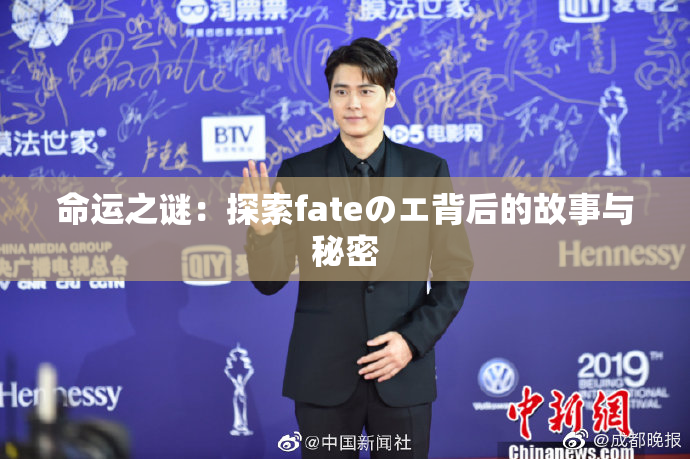 命运之谜：探索fateのエ背后的故事与秘密