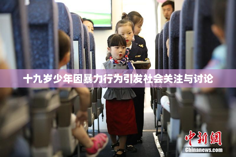 十九岁少年因暴力行为引发社会关注与讨论