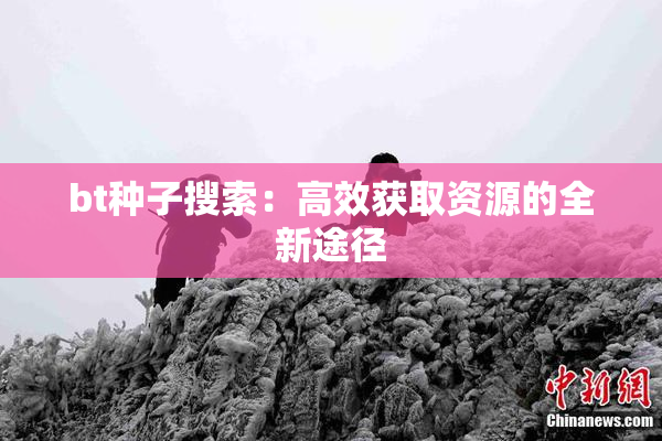 bt种子搜索：高效获取资源的全新途径