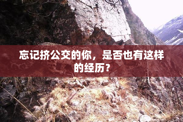 忘记挤公交的你，是否也有这样的经历？