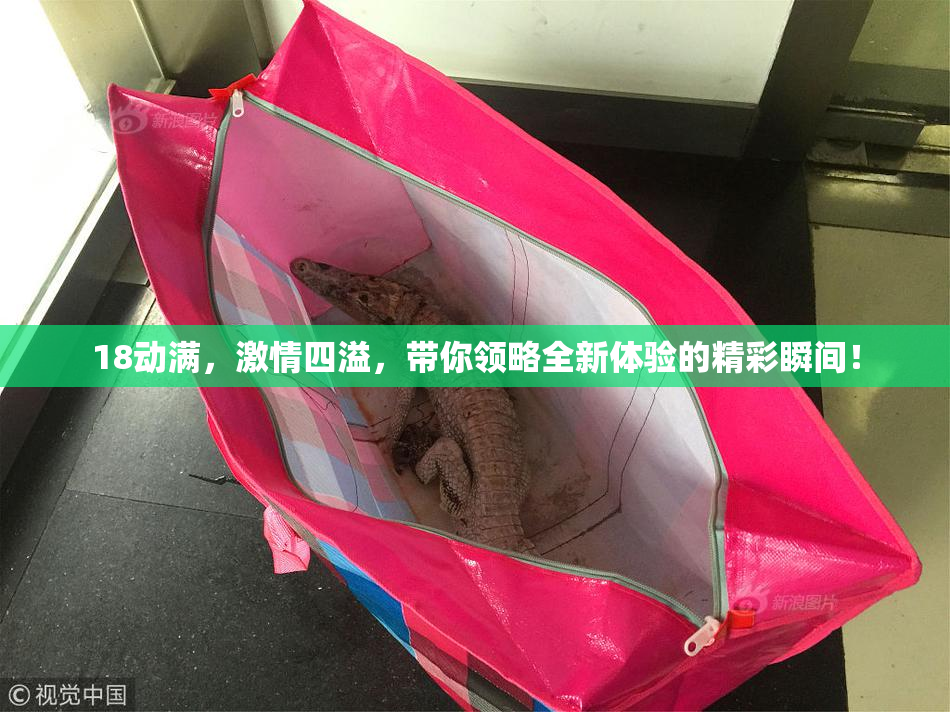 18动满，激情四溢，带你领略全新体验的精彩瞬间！