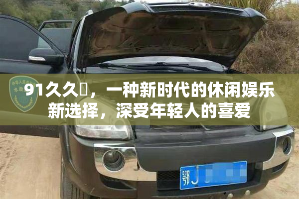 91久久擼，一种新时代的休闲娱乐新选择，深受年轻人的喜爱