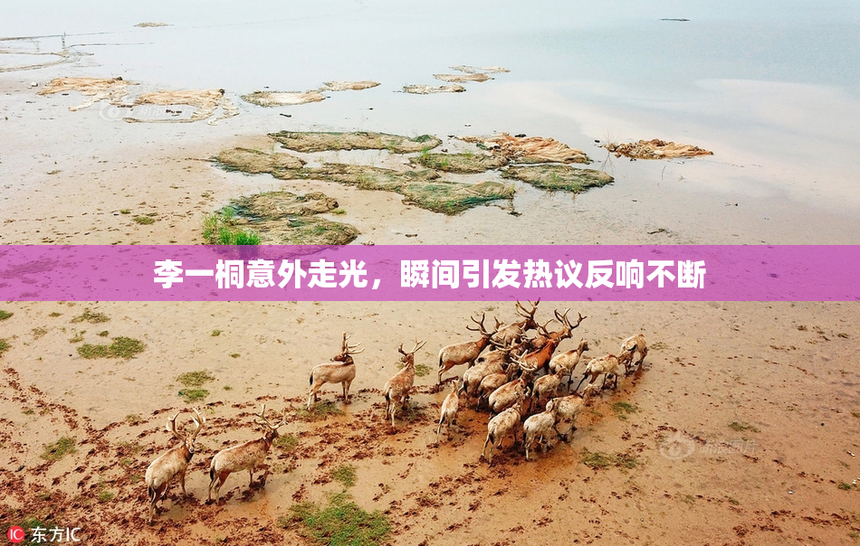李一桐意外走光，瞬间引发热议反响不断