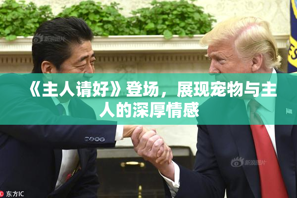 《主人请好》登场，展现宠物与主人的深厚情感