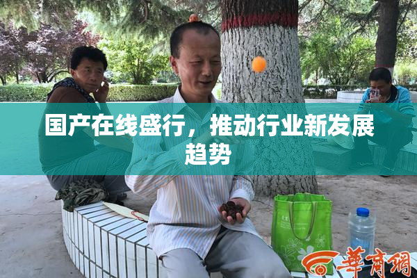 国产在线盛行，推动行业新发展趋势