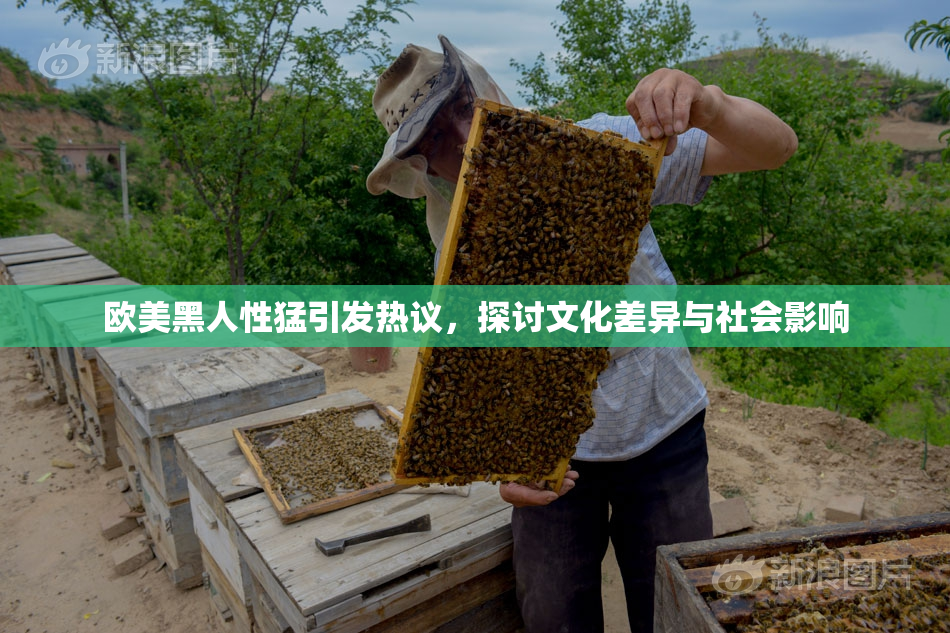 欧美黑人性猛引发热议，探讨文化差异与社会影响