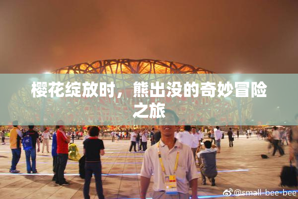 樱花绽放时，熊出没的奇妙冒险之旅
