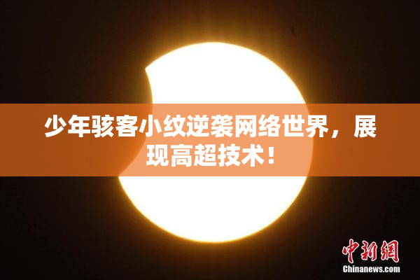少年骇客小纹逆袭网络世界，展现高超技术！