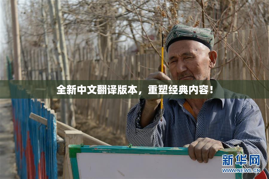全新中文翻译版本，重塑经典内容！