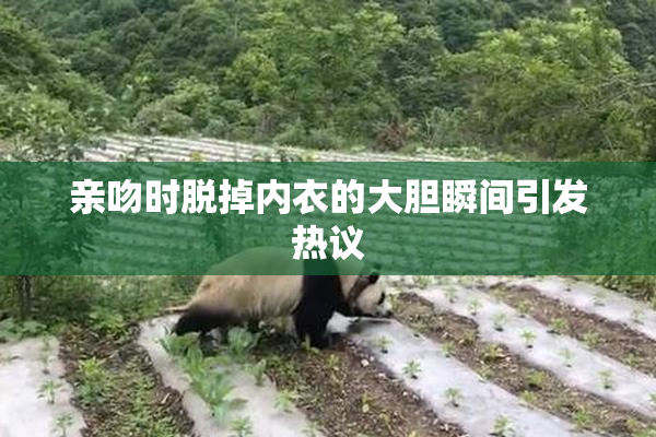 亲吻时脱掉内衣的大胆瞬间引发热议