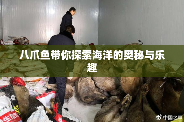 八爪鱼带你探索海洋的奥秘与乐趣