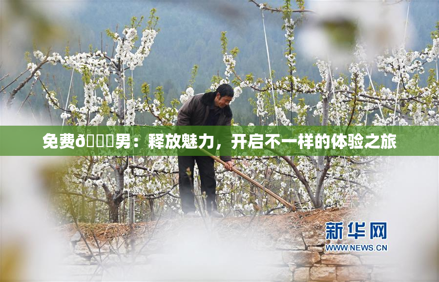 免费🔞男：释放魅力，开启不一样的体验之旅