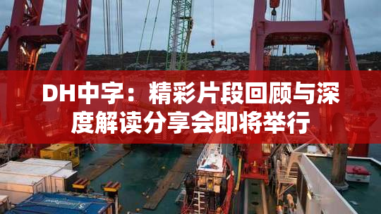 DH中字：精彩片段回顾与深度解读分享会即将举行