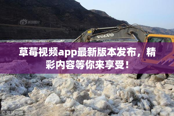 草莓视频app最新版本发布，精彩内容等你来享受！