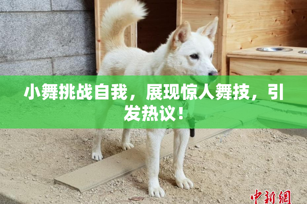 小舞挑战自我，展现惊人舞技，引发热议！
