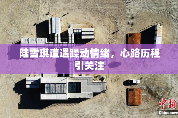 陆雪琪遭遇躁动情绪，心路历程引关注