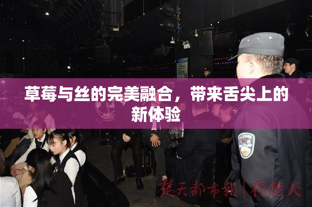 草莓与丝的完美融合，带来舌尖上的新体验