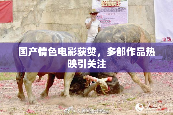 国产情色电影获赞，多部作品热映引关注