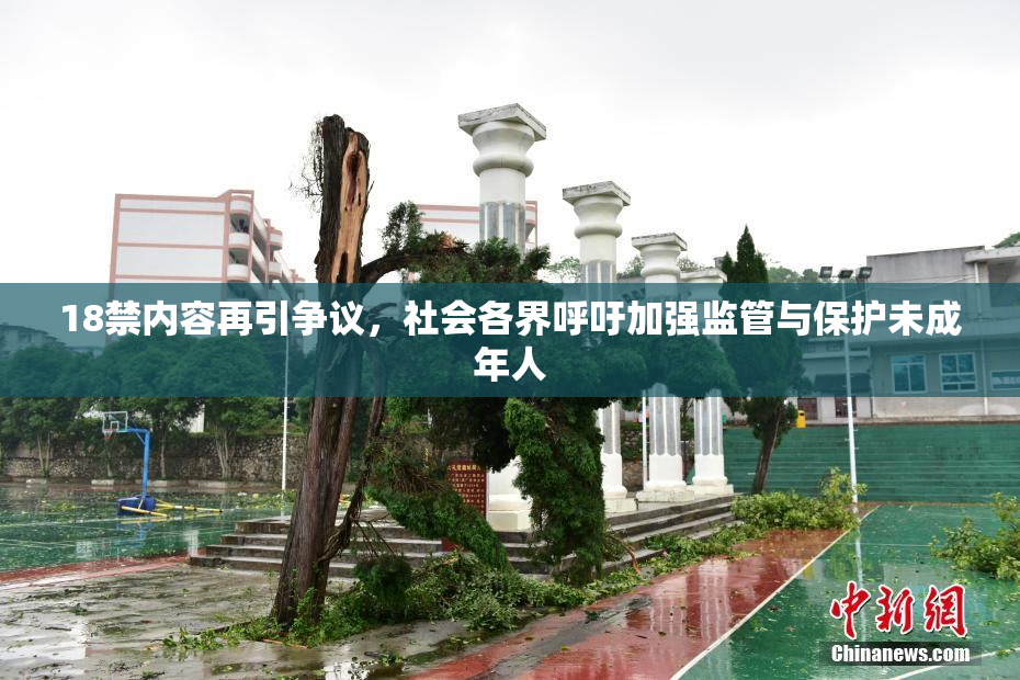 18禁内容再引争议，社会各界呼吁加强监管与保护未成年人