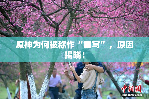 原神为何被称作“重写”，原因揭晓！