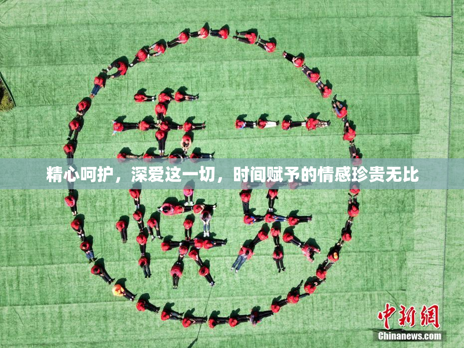 精心呵护，深爱这一切，时间赋予的情感珍贵无比
