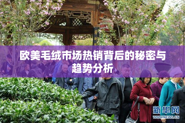 欧美毛绒市场热销背后的秘密与趋势分析