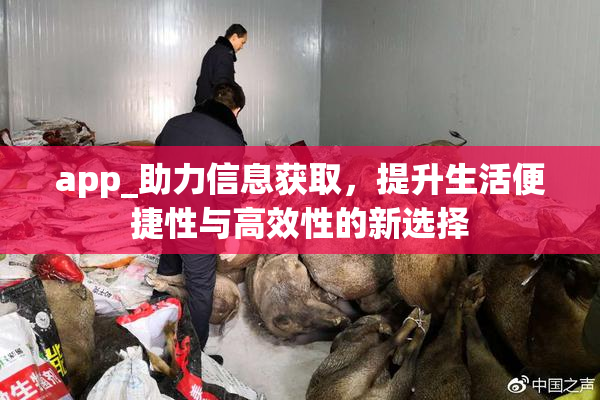 app_助力信息获取，提升生活便捷性与高效性的新选择