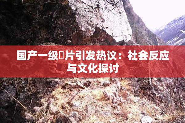国产一级婬片引发热议：社会反应与文化探讨