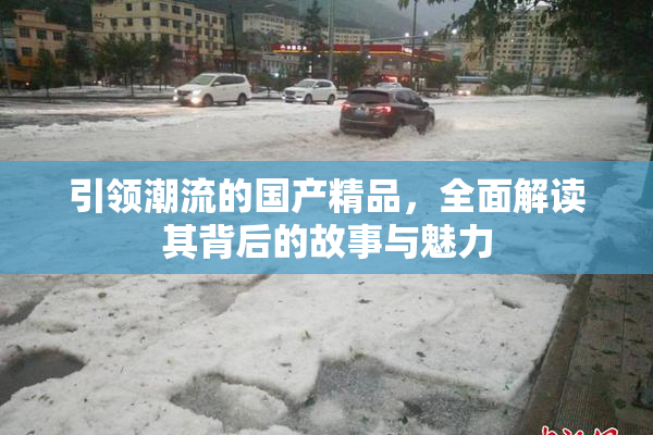 引领潮流的国产精品，全面解读其背后的故事与魅力