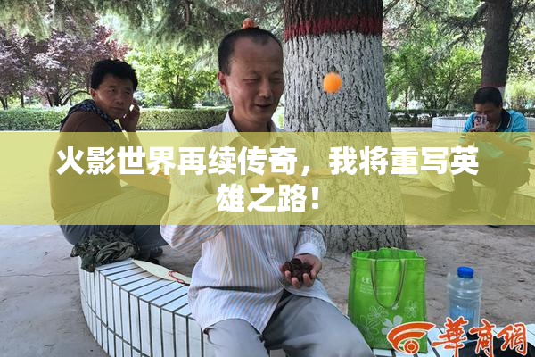 火影世界再续传奇，我将重写英雄之路！
