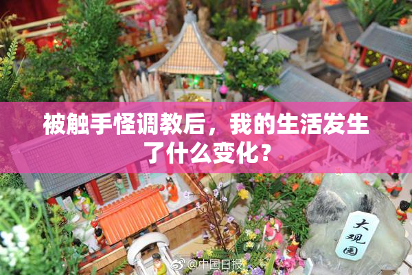 被触手怪调教后，我的生活发生了什么变化？