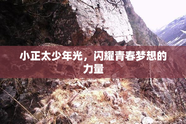 小正太少年光，闪耀青春梦想的力量