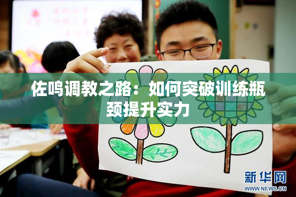 佐鸣调教之路：如何突破训练瓶颈提升实力
