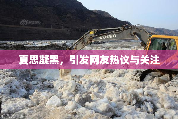 夏思凝黑，引发网友热议与关注