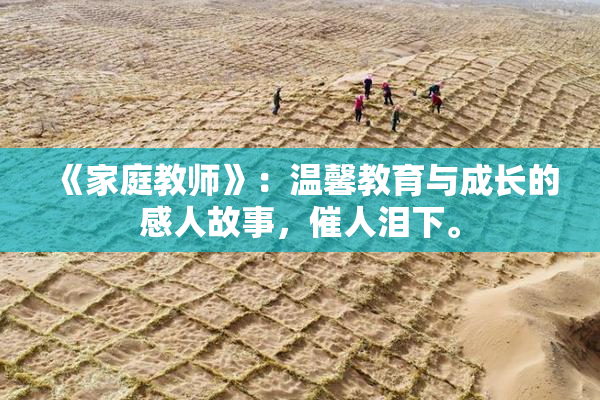 《家庭教师》：温馨教育与成长的感人故事，催人泪下。