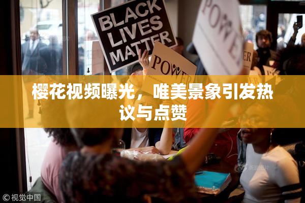 樱花视频曝光，唯美景象引发热议与点赞