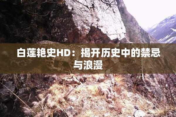 白莲艳史HD：揭开历史中的禁忌与浪漫