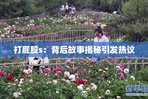 打屁股s：背后故事揭秘引发热议